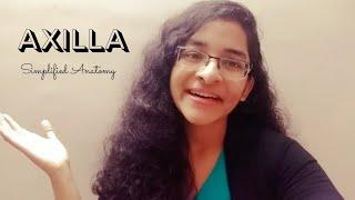 AXILLA | ANATOMY | SIMPLIFIED 