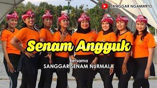 Senam angguk