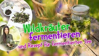 Wildkräuter fermentieren  Fermentierter Tee #wildkräuter #kräuter #rezept #selbstversorger