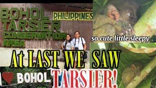 #254 AT LAST WE SAW TARSIER! TARSIER CONSERVATION AREA  BOHOL, PHILIPPINES. By Mama E