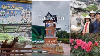 || Exploring Diverse Farm Types in Cameron Highlands: From Bees to Llamas & Rose valley ||