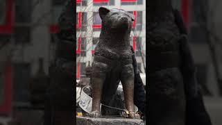 HACHIKO STATUE SHIBUYA TOKYO JAPAN