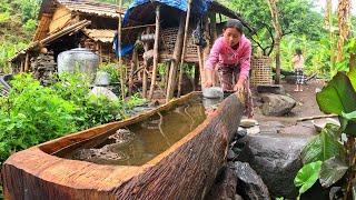 LSecret Recipes from the Village: Cooking with Wild Nettle!