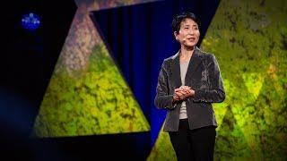 An economic case for protecting the planet | Naoko Ishii