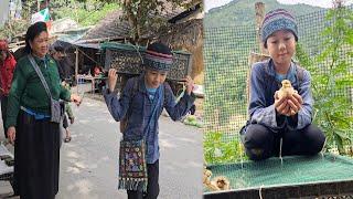 Simple joy: A poor boy's small dream, Happiness bursts when he has the first flock of chickens.