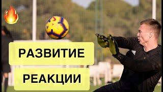 Развитие Реакции! Тренировка Вратарей. Goalkeeper Training.