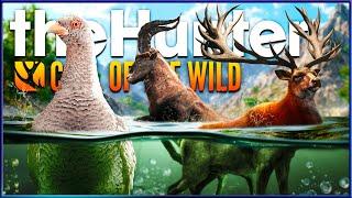 I Hunted Cuatro Colinas for a WHOLE WEEK & This is What I Found! - the Hunter Call of the Wild