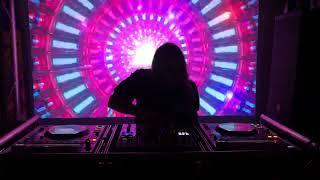 Mystic Grizzly - Art Basel Miami - Liquid Lotus Productions