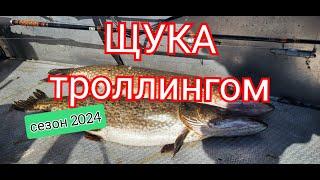 Щука троллингом. Открытие сезона 2024