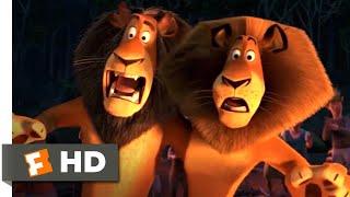 Madagascar: Escape 2 Africa (2008) - The Lion Dance Scene (9/10) | Movieclips