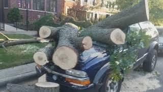 Tornado in Chicago 2020 (Rogers Park) Торнадо в Чикаго, 2020