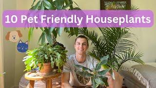 10 Low Maintenance Pet Friendly Houseplants ! Easy To Grow Indoor Non toxic To Cats & Dogs