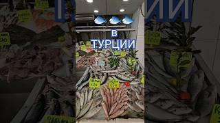 рыба в Турции #турция #аланья #махмутлар