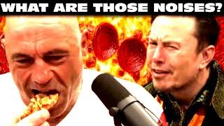 Joe Rogan Destroys A Pizza w/ Elon Musk