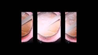 Filling cake tutorial                 #cake #manar #tutorial