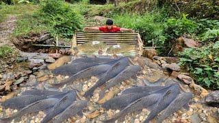 Full video of 36 days of making fish traps. Lucky boy Lam caught a lot of big fish to sell.