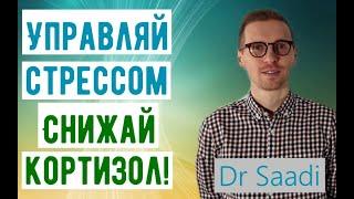 Как управлять стрессом и снизить гормон стресса кортизол? Др. Сергей Саади