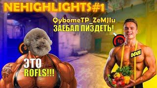 STALCRAFT | Новичок зашел в игру | NEHIGHLIGHTS#1