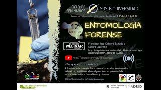 WEBINAR: Entomología forense