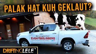 Palak klaut Kuh? | Eventcenter Seelisberg | DriftingLele