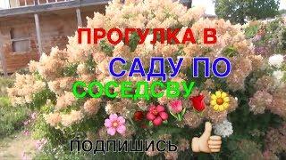 078 ПРОГУЛКА В САДУ ПО СОСЕДСВУ 