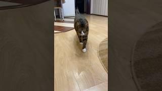 Пацан Васян