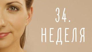 34. неделя беременности