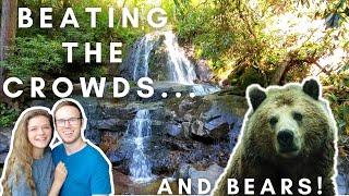 VERY POPULAR SMOKY MOUNTAINS WATERFALL HIKE | LAUREL FALLS