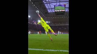 Impossible Goalkeeper Saves 