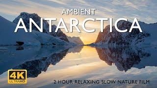 Ambient Antarctica 4K | 2-hour relaxing slow nature film