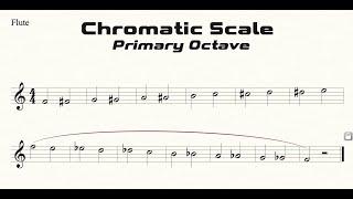 Flute Chromatic Scale (F-F) Practice in Half Notes (Primary Octave)