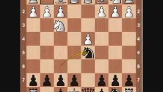 Chess Openings: Scandinavian Defense