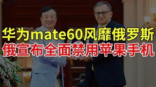 华为mate60风靡俄罗斯，俄宣布全面禁用苹果手机！