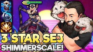 3 Star Sejuani - So Much Shimmerscale Gold!! | TFT Cyber City | Teamfight Tactics