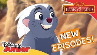 New Episodes from 17th September! | The Lion Guard | Official Disney Channel Africa