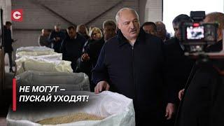 Лукашенко: Разбирайтесь с кадрами! Пора их на место ставить! Президент жёстко об аграрном секторе!