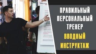 Александр Мельниченко - Правильный персональный тренер. Вводный инструктаж | 36