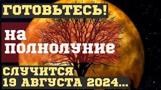 ЧТО СЛУЧИТСЯ на ПОЛНОЛУНИЕ 19 августа 2024, во время ОСЕТРОВОЙ ЛУНЫ. ЧЕМ ОПАСНО для ВСЕХ