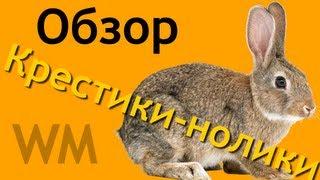 Обзор на игру "Крестики-нолики"
