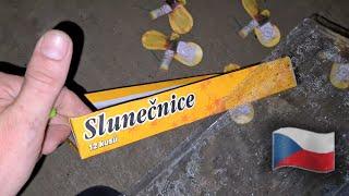 Slunečnice By Hornet