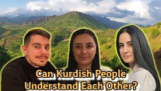 Kurdish Dialects | Can they Understand Each Other?