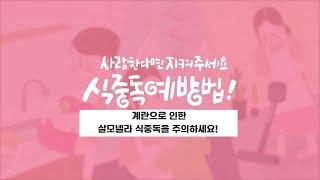 여름철 계란으로 인한 살모넬라 식중독 주의하세요!