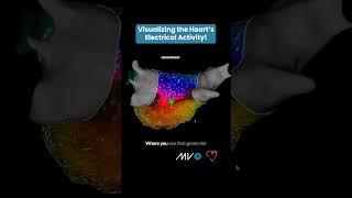 Visualizing the Heart's Electrical Activity ️🫀