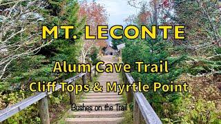 Mt LeConte via the Alum Cave Trail | Best Day Hikes in the Smokies | LeConte Lodge
