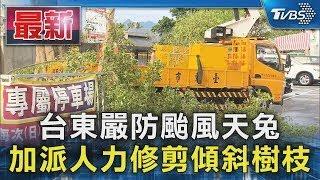 台東嚴防颱風天兔 加派人力修剪傾斜樹枝｜TVBS新聞