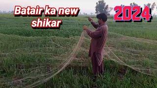 Batair ka shikar 2024