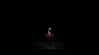 #scorpio #zodiac #cocktails