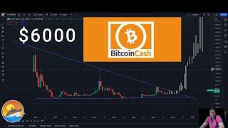 Bitcoin cash is going to $6000 when and how #BCH