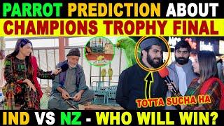 INDIA VS NZ | WHO WILL WIN CHAMPIONS TROPHY 2025 | PARROT PREDICTION ABOUT CT25 FINAL