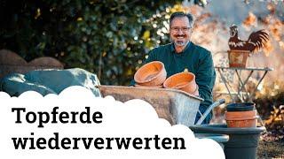 Alte Topferde wieder zum Leben erwecken 